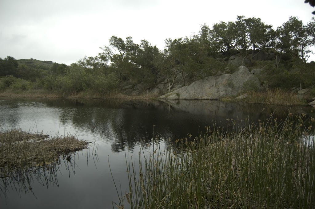 DSC_6317.jpg