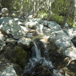 DSC_8086.jpg