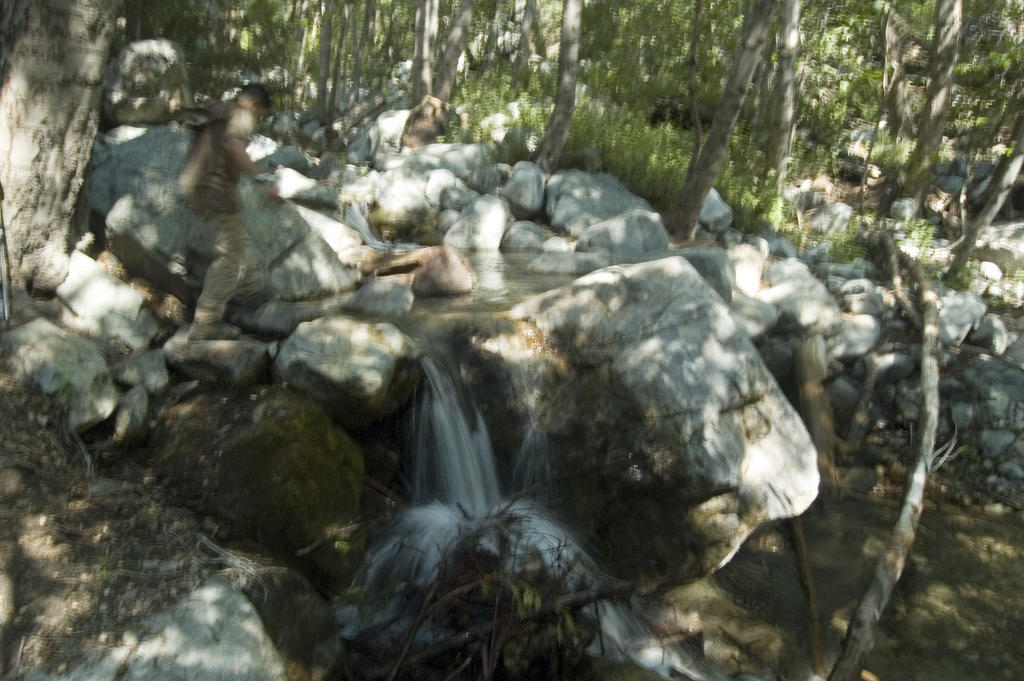 DSC_8087.jpg