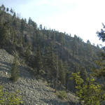 DSC_8095.jpg