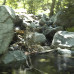 DSC_8170.jpg