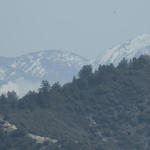 DSC_6114.jpg