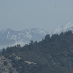 DSC_6113.jpg