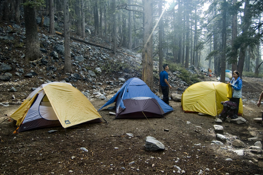 Gorgonio20080830_0596.jpg