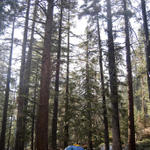 Gorgonio20080830_0599.jpg