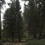 Gorgonio20080830_0635.jpg